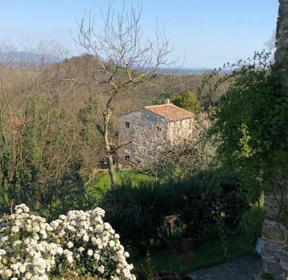 Dolce Vita In Tuscany B&b
