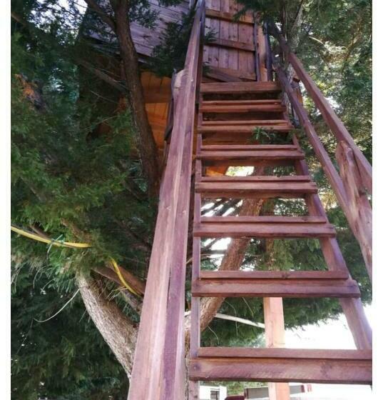 B&b L Oasi Del Vulture