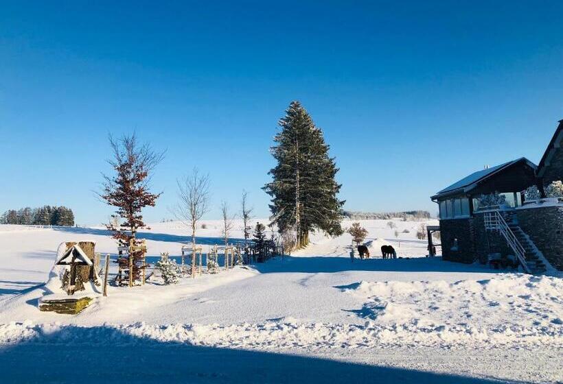 B&b Pegasus Ii   Chambre De Luxe Avec Sauna Privatif