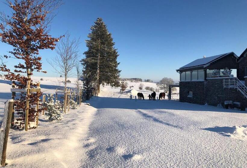B&b Pegasus Ii   Chambre De Luxe Avec Sauna Privatif