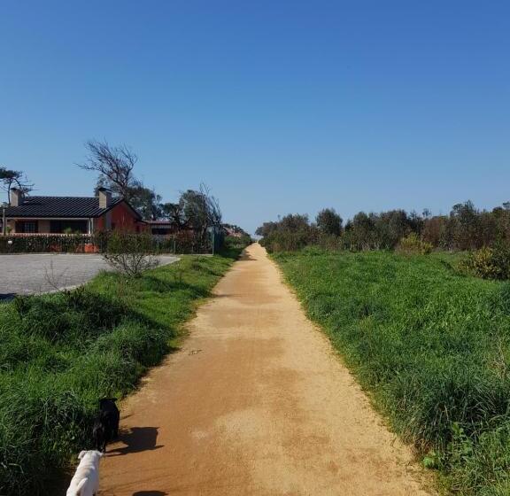 צימר Beachwalk Guesthouse