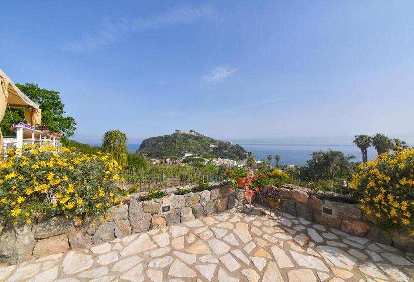 مبيت وإفطار Belgodere Di Mezzavia Apartments