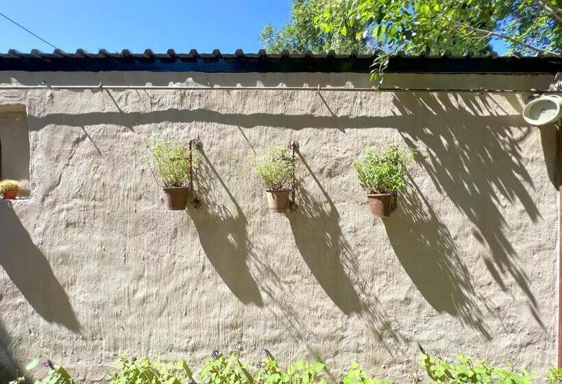 ベッドアンドブレックファースト Buffels Place Guesthouse