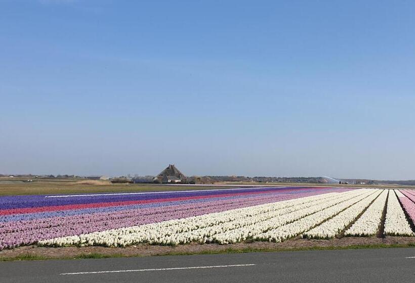 Bed and Breakfast Bzonderb Callantsoog