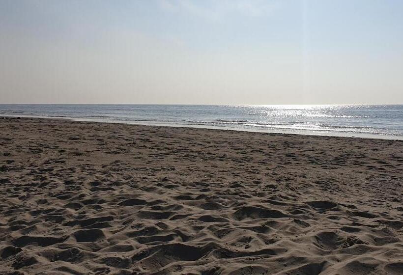 Bed and Breakfast Bzonderb Callantsoog