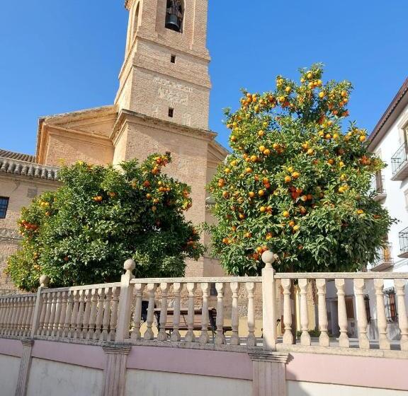 مبيت وإفطار Casa Alice Salar