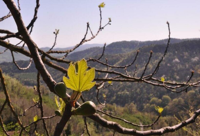 צימר Casa Langa Di Lola