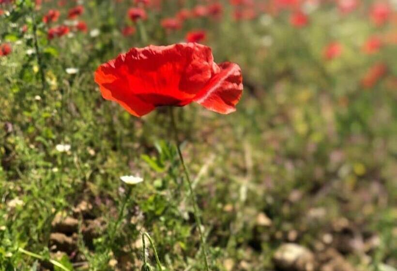 צימר Chambre D’hôtes Vaucluse