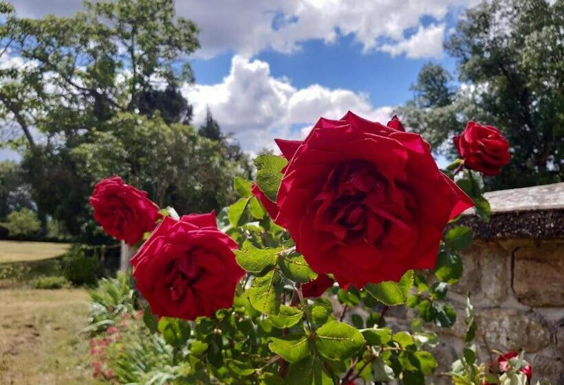 住宿加早餐 Château De Mongazon