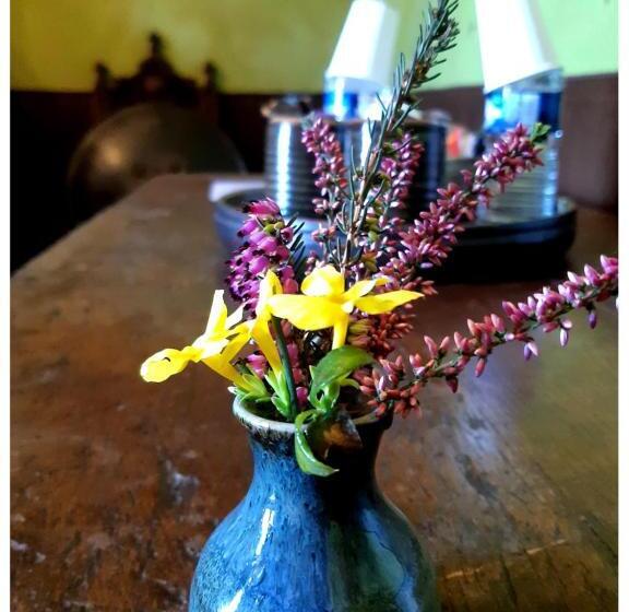 住宿加早餐 Château De Mongazon