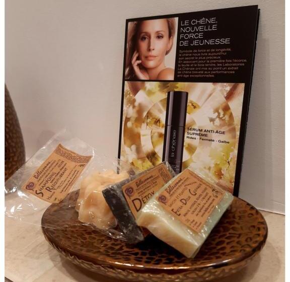 住宿加早餐 Château De Mongazon