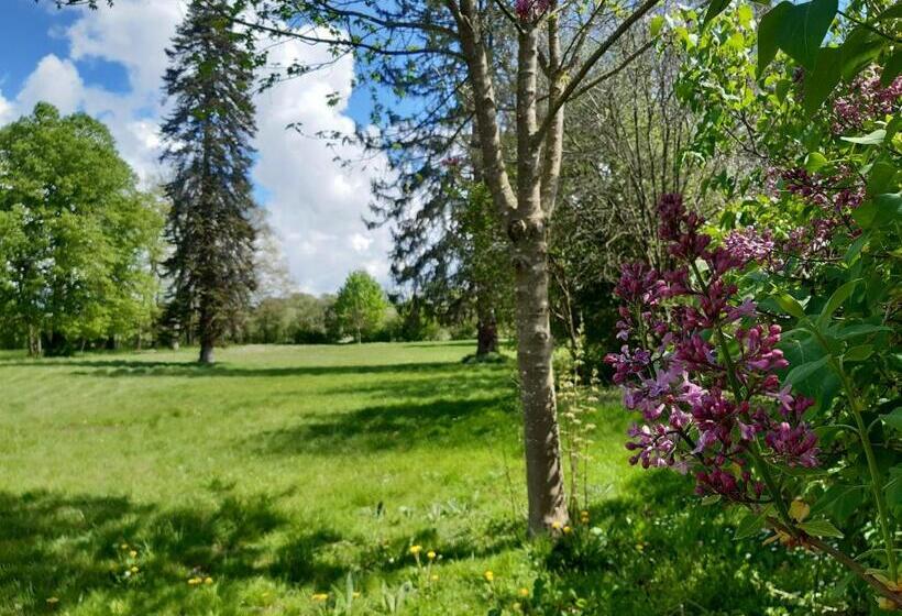 住宿加早餐 Château De Mongazon
