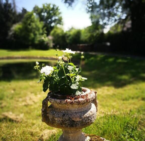 住宿加早餐 Château De Mongazon