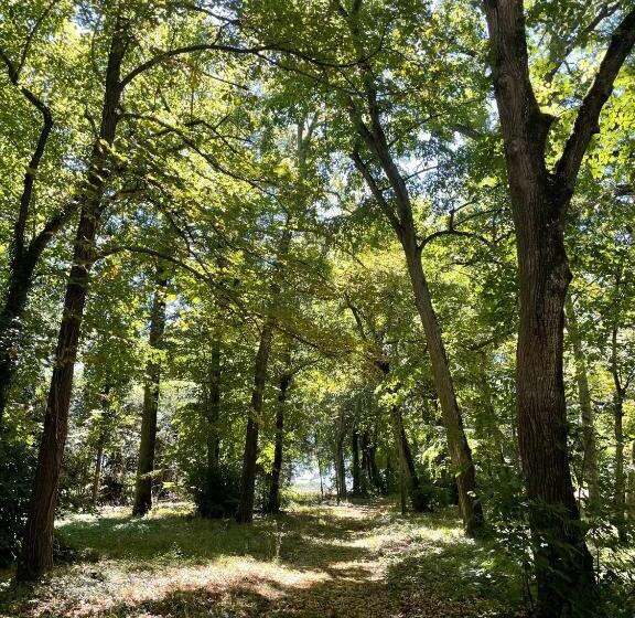 مبيت وإفطار Château De Praslins