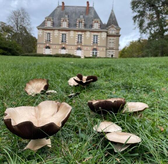 مبيت وإفطار Château De Praslins