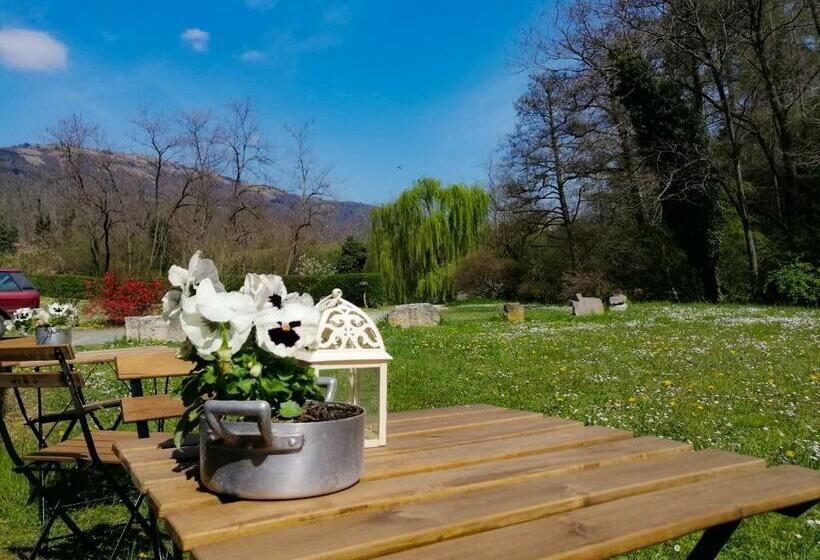 ベッドアンドブレックファースト Cordana