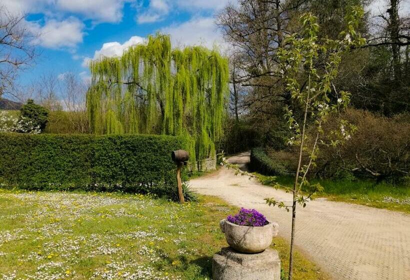 ベッドアンドブレックファースト Cordana