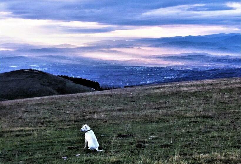 تختخواب و صبحانه Da Franca