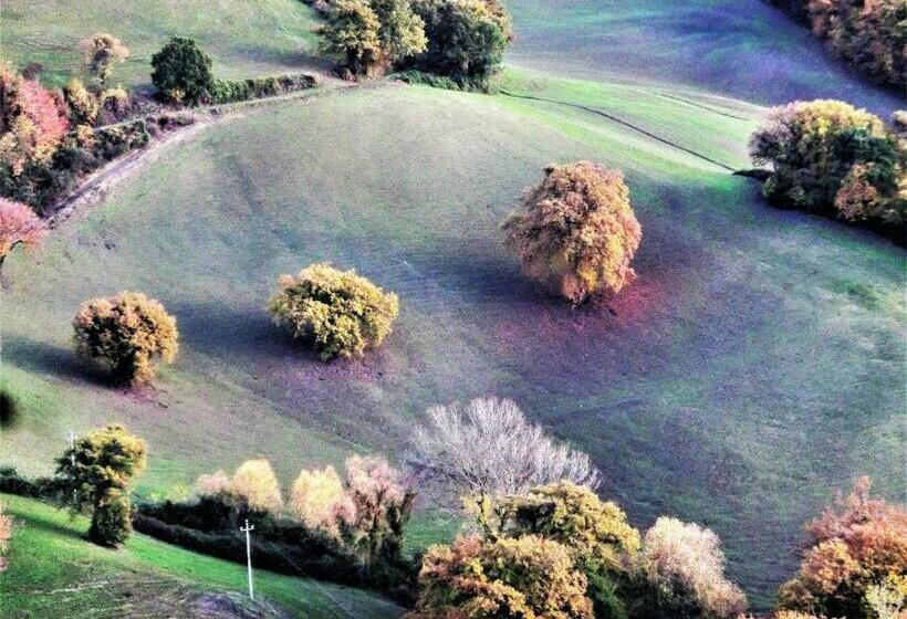 تختخواب و صبحانه Da Franca