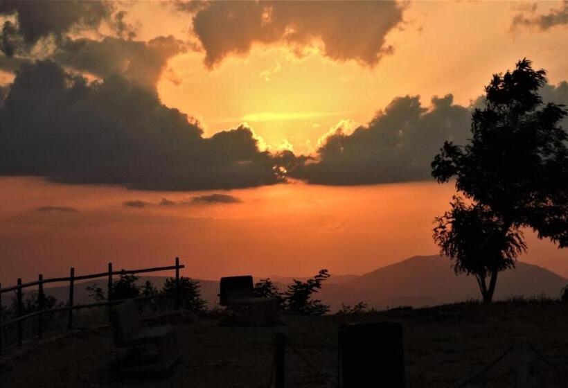 تختخواب و صبحانه Da Franca