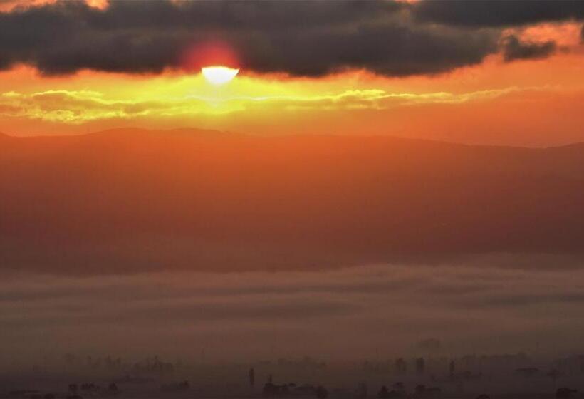 تختخواب و صبحانه Da Franca