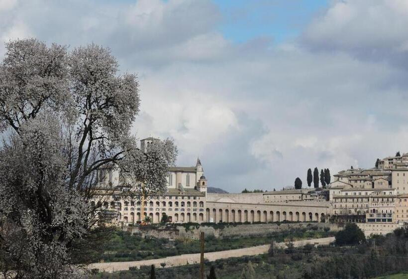 تختخواب و صبحانه Da Franca