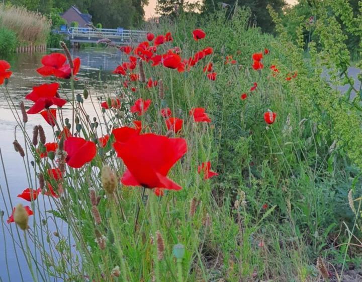 ベッドアンドブレックファースト De Vliegende Vlinder