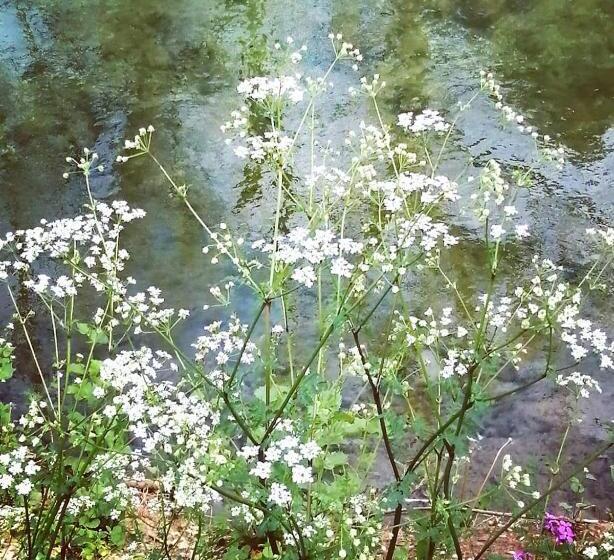 مبيت وإفطار La Maison Hilarion