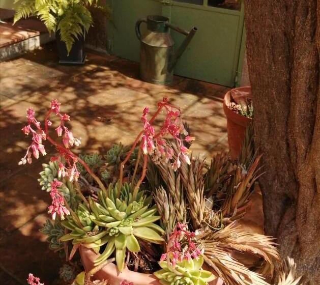 مبيت وإفطار La Maison Hilarion