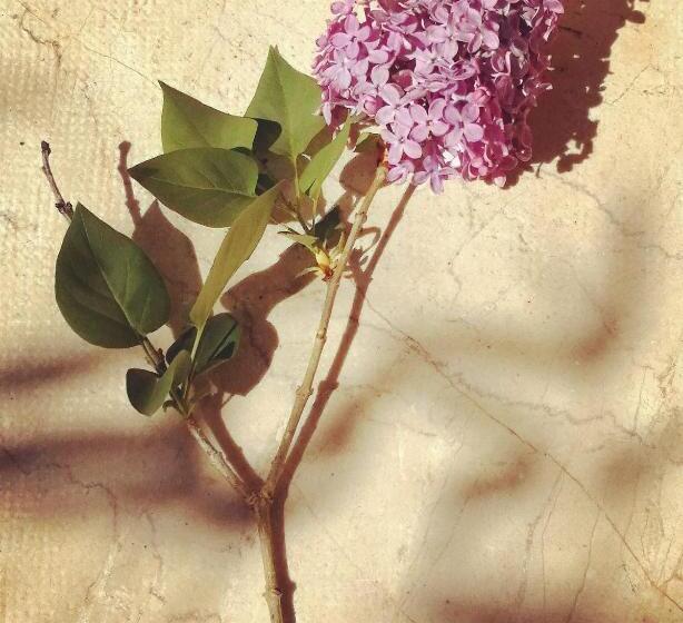 민박 La Maison Hilarion