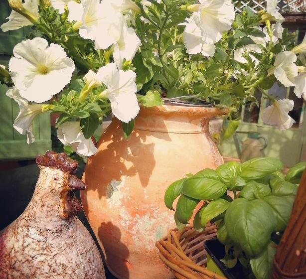 مبيت وإفطار La Maison Hilarion