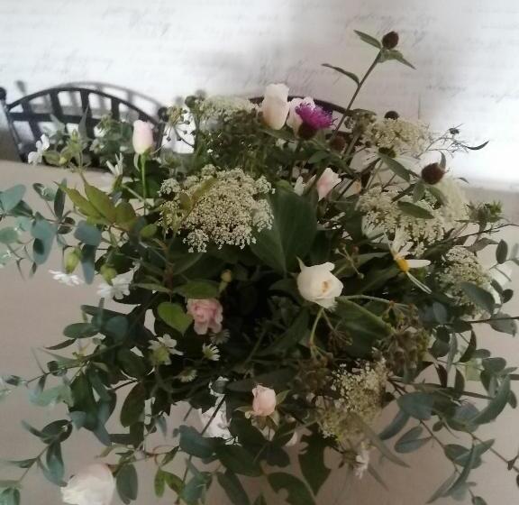 Bed and Breakfast La Maison O Kiwis   Chambres D Hôtes