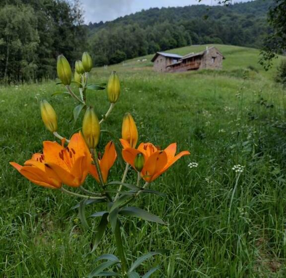 צימר Rifugio Alpino Baudinet   Trek&relax