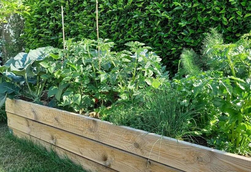 Bed and Breakfast Little Cottage