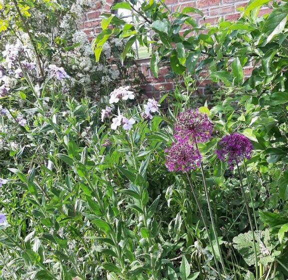 مبيت وإفطار Mahil Laya