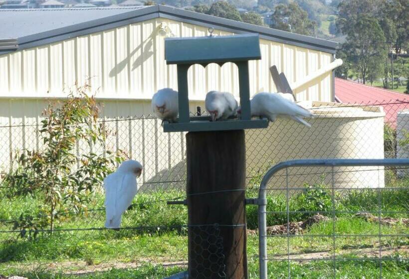 צימר Mala Retreat Chardonnay Studio Immaculate And Comfortable