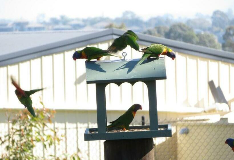 צימר Mala Retreat Chardonnay Studio Immaculate And Comfortable