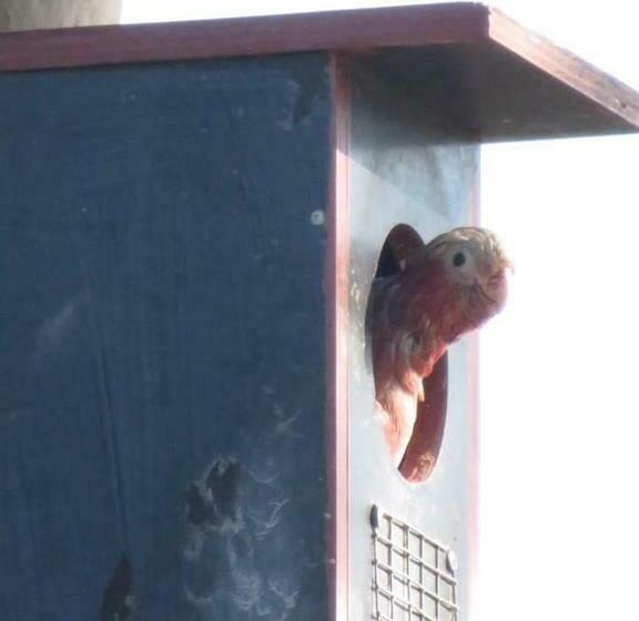 צימר Mala Retreat Chardonnay Studio Immaculate And Comfortable