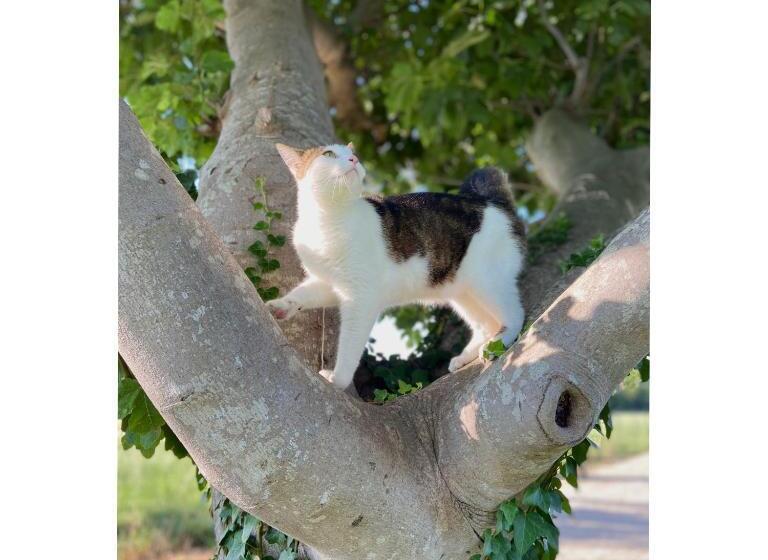 مبيت وإفطار Mas Des 2 Platanes