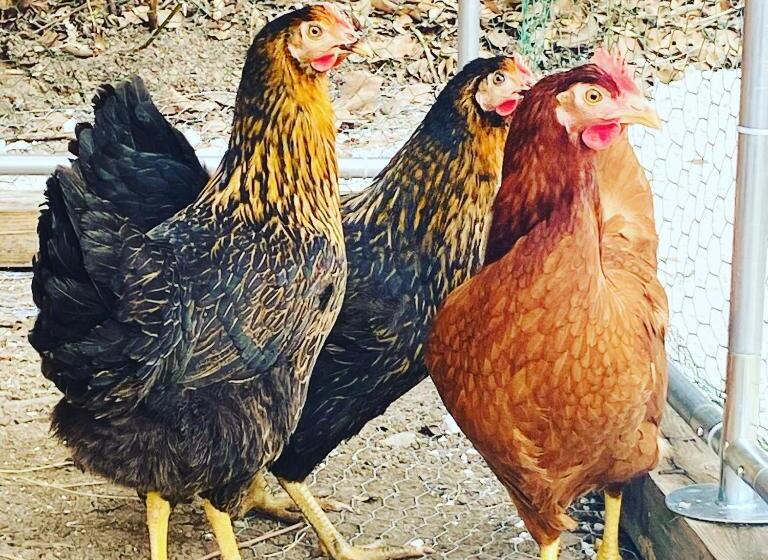 مبيت وإفطار Mas Des 2 Platanes