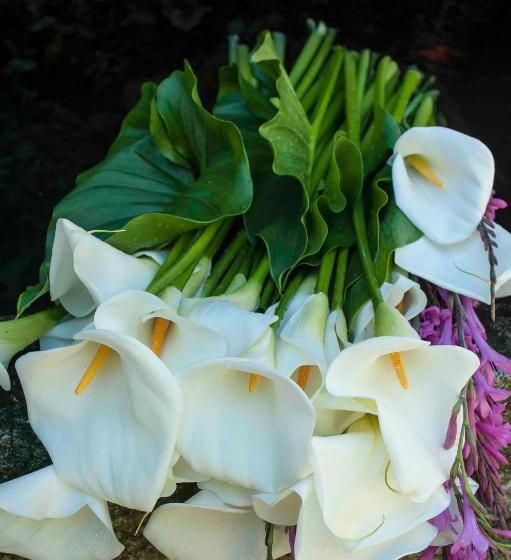 ベッドアンドブレックファースト Villa Covela