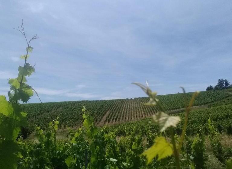 住宿加早餐  Virginie Et Serge