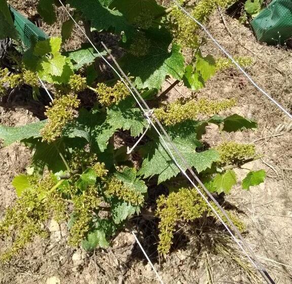 住宿加早餐  Virginie Et Serge