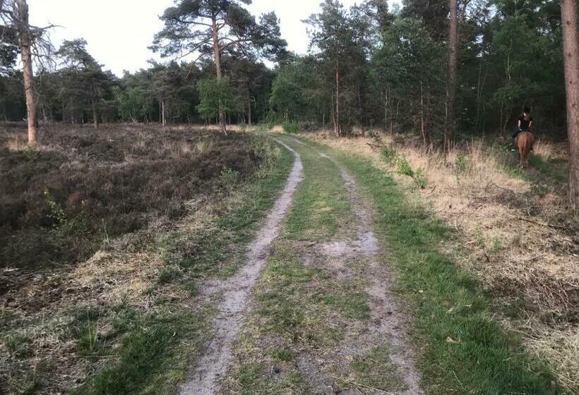 בית מלון כפרי Wildenborcherhof