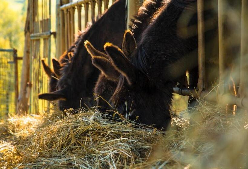 Ostello Podesteria Di Gombola Arte E Territorio