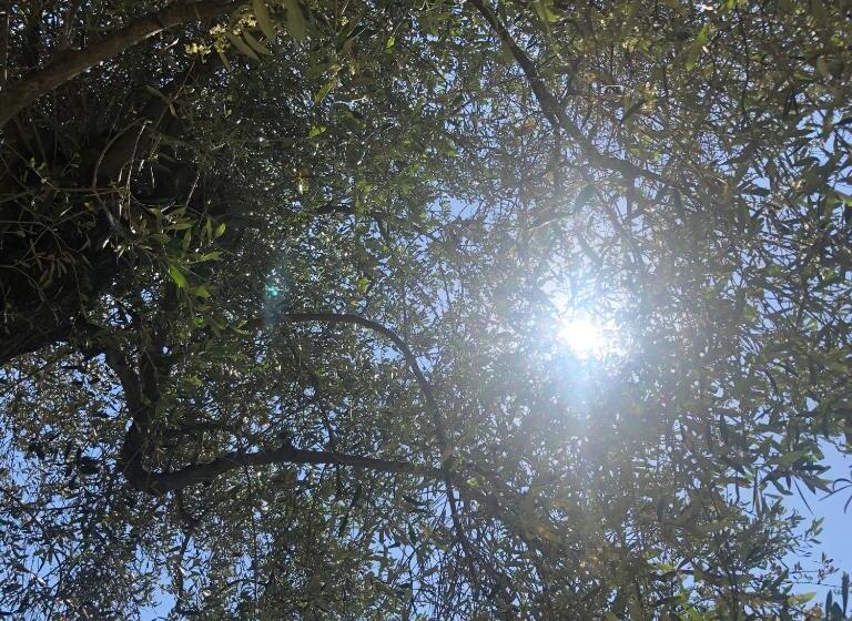 펜션 Aux Balcons Du Riou Avec Vue Mer 180 Degrés