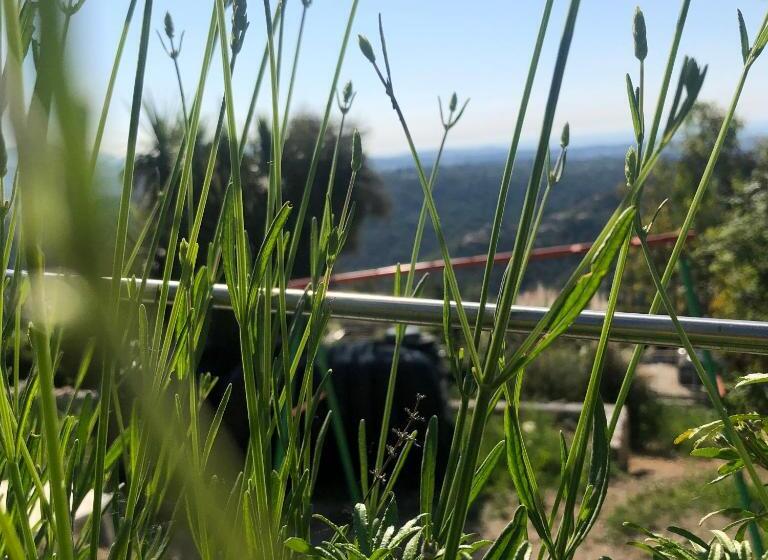 펜션 Aux Balcons Du Riou Avec Vue Mer 180 Degrés