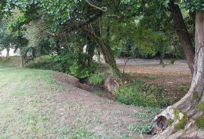 بنسيون Chambre Saint Emilion   Le Clos D Antan