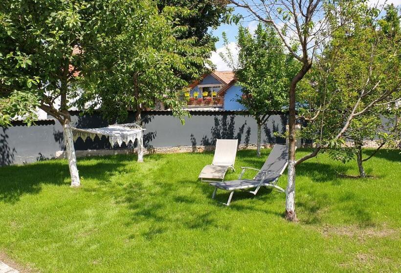 بنسيون Chez Stef