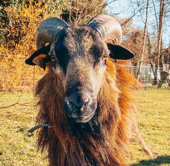 膳宿费 Joly Tiny House